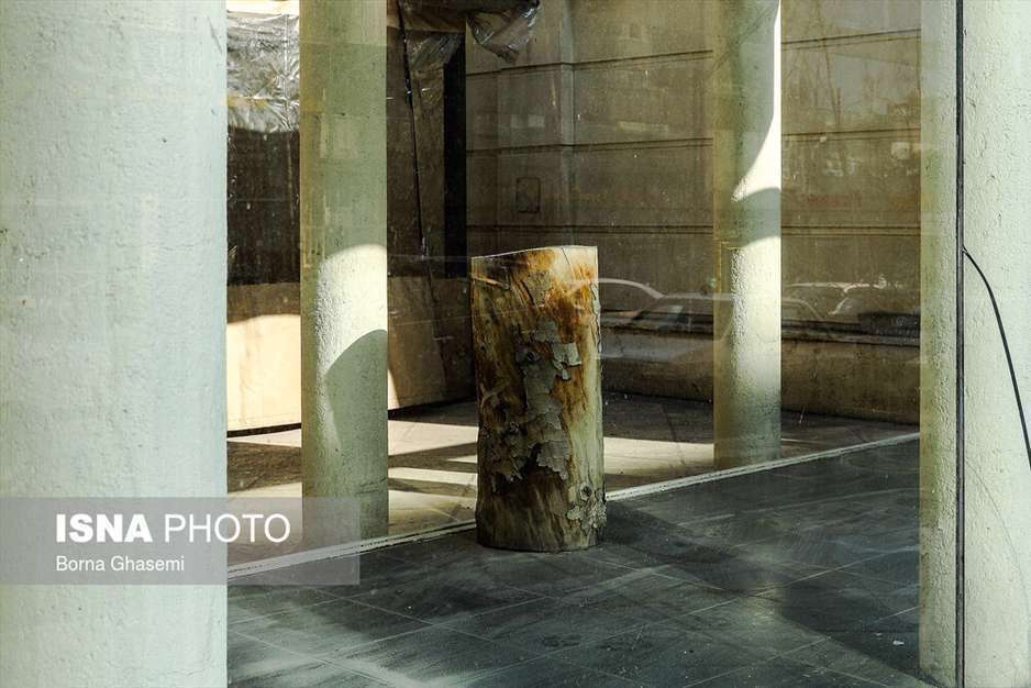 روایت برج و درخت