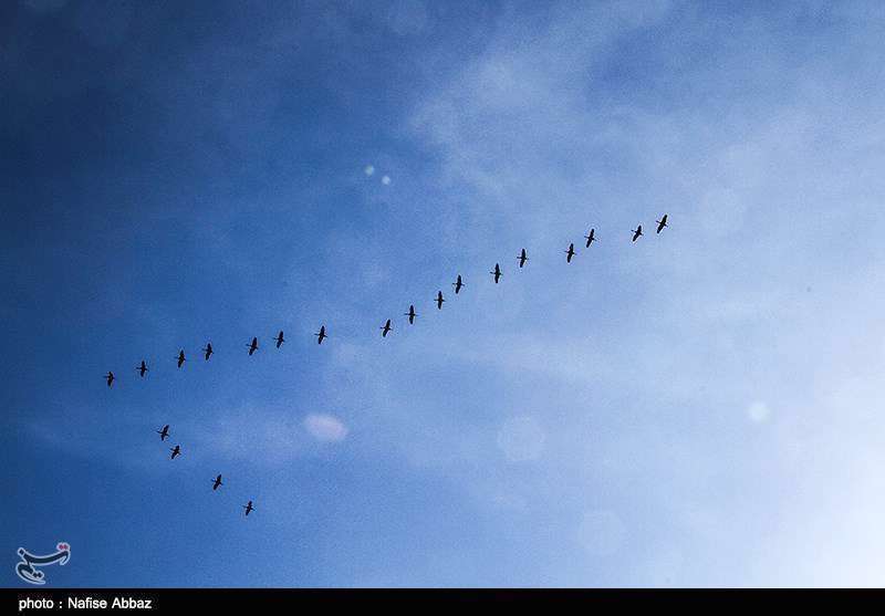 تالاب میقان اراک 