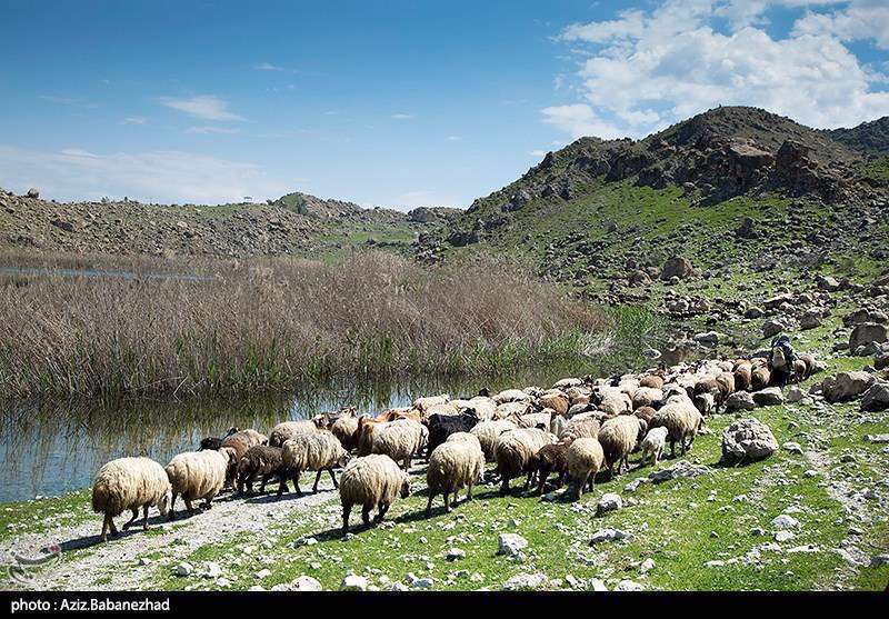 تالاب های پلدختر - لرستان