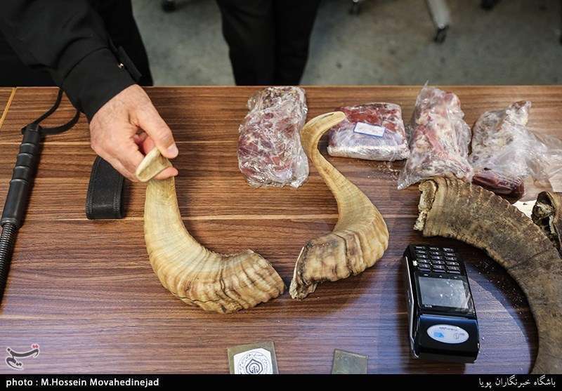  وسایل ضبط شده از شکارچیان غیرمجاز