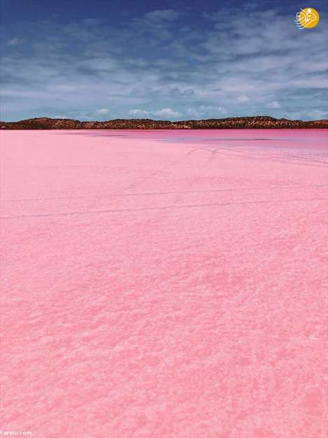 دریاچه صورتی رنگ! 
