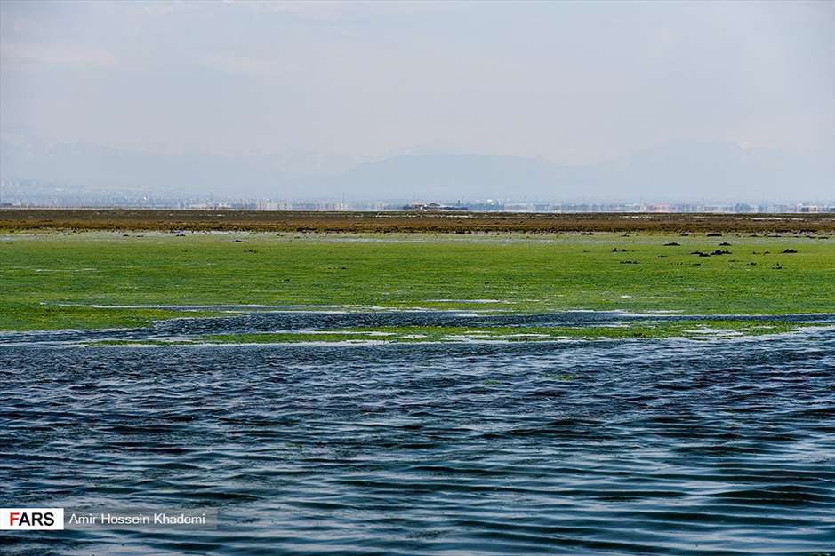  تالاب صالحیه البرز