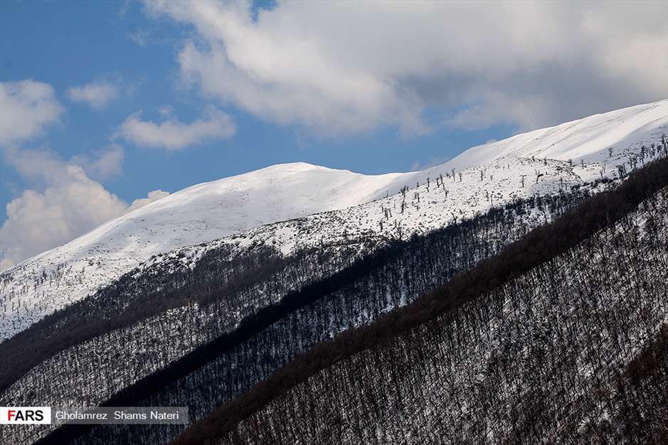 كوچ آرام بهار 