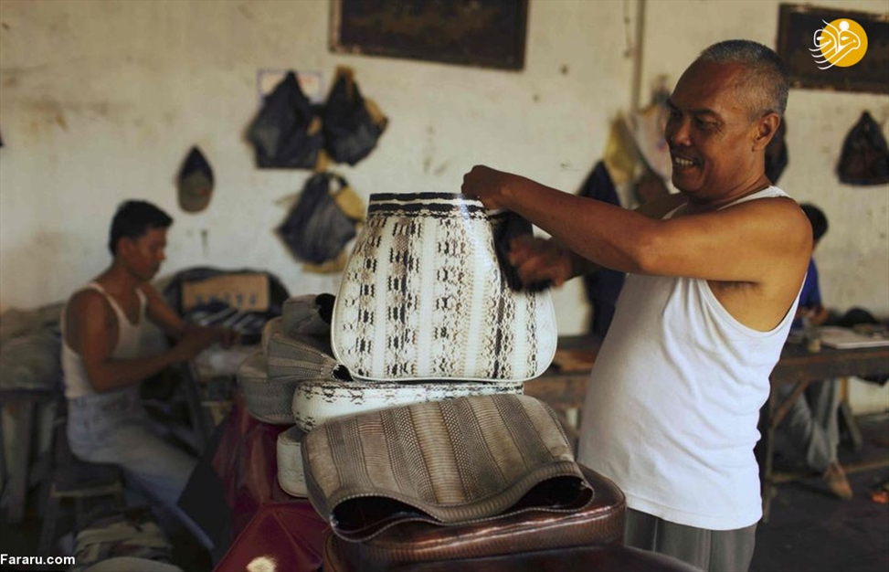 سلاخی مارها برای ساخت کیف و کفش! 