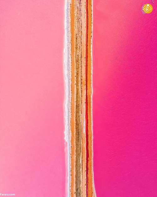 دریاچه صورتی رنگ! 