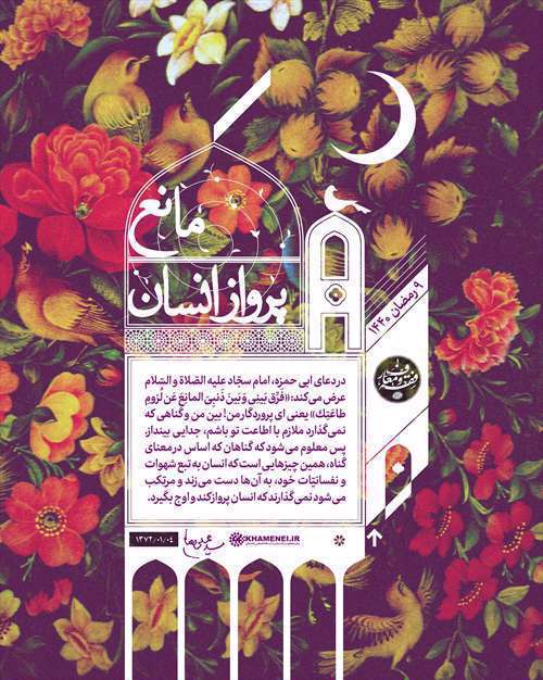 مانع پرواز انسان