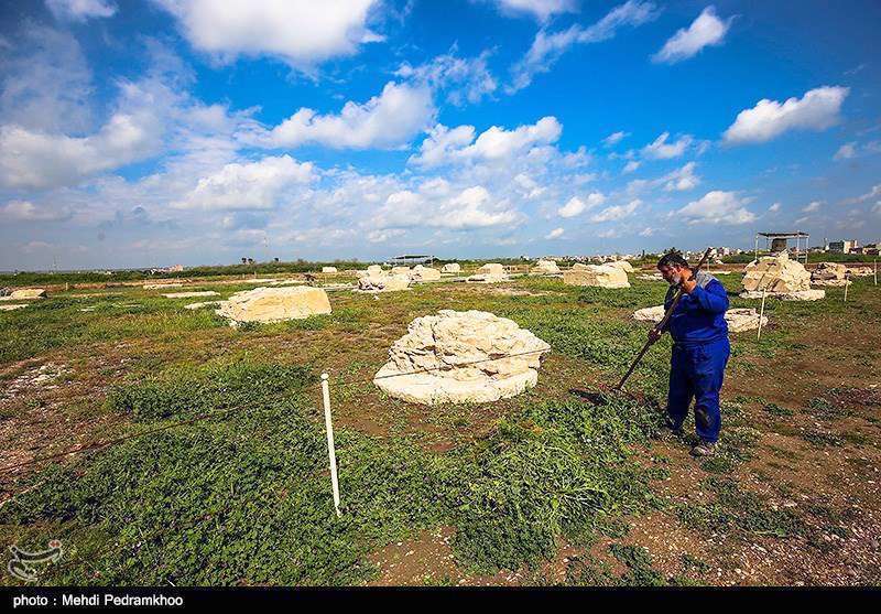 محوطه باستانی شوش 