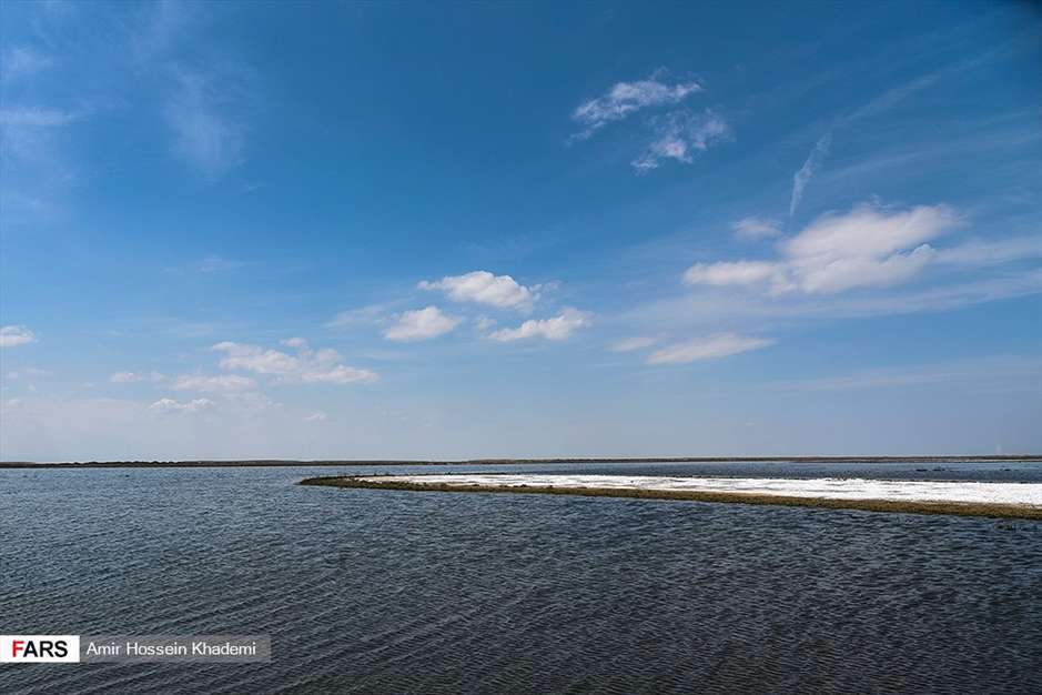  تالاب صالحیه البرز