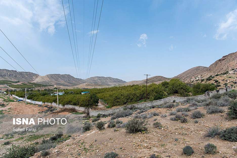 دو راهی زندگی عشایری