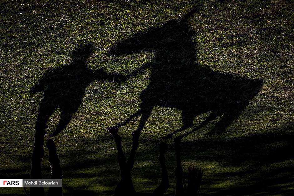 حراج اسب به نفع سیل زدگان