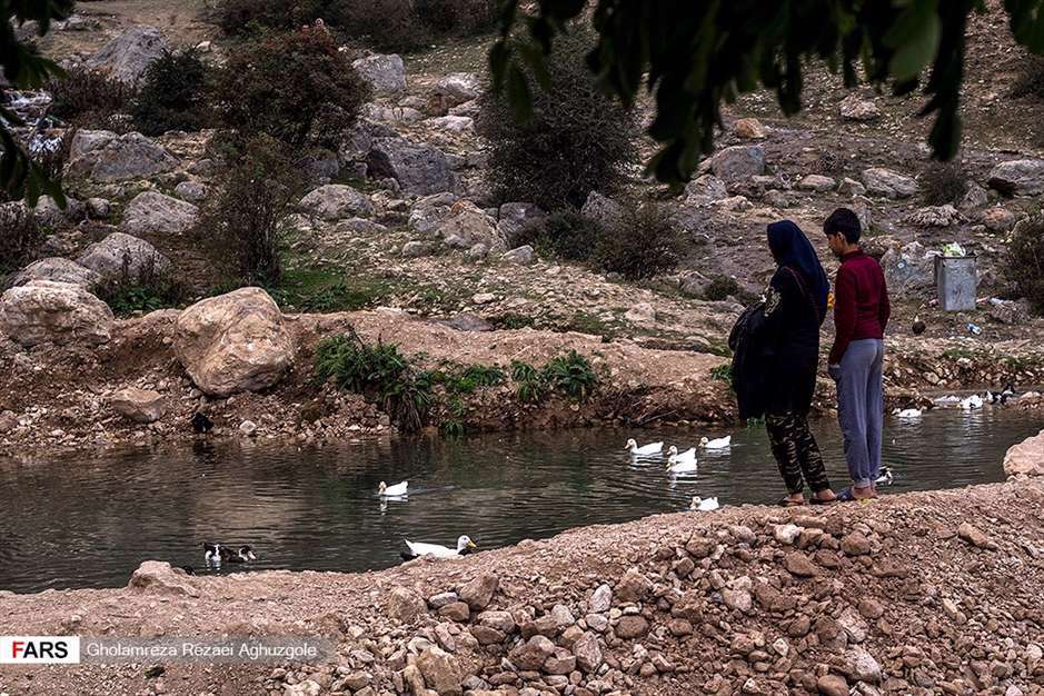 دِراسِـــله