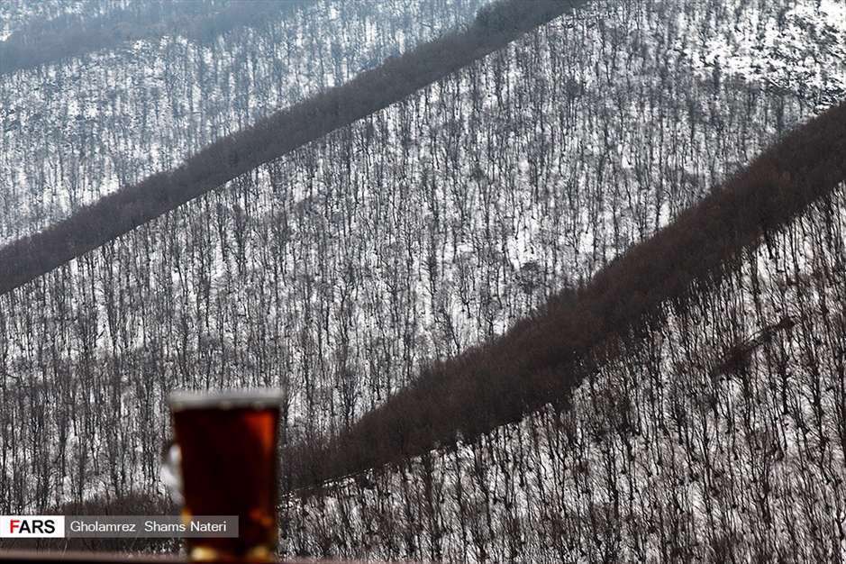 كوچ آرام بهار 