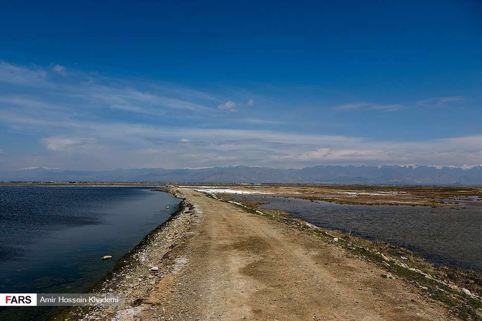  تالاب صالحیه البرز