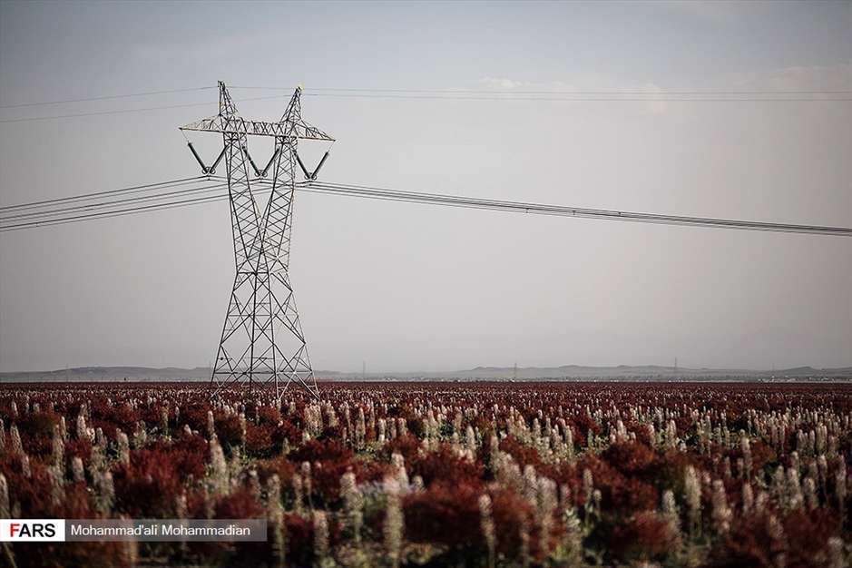 دشت «ریواس» شهر بابک