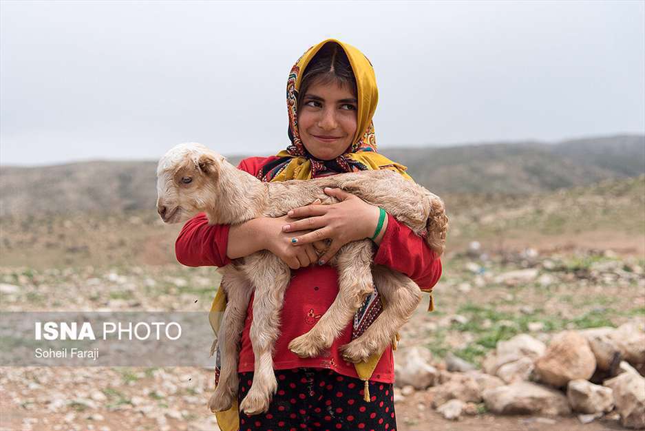 دو راهی زندگی عشایری