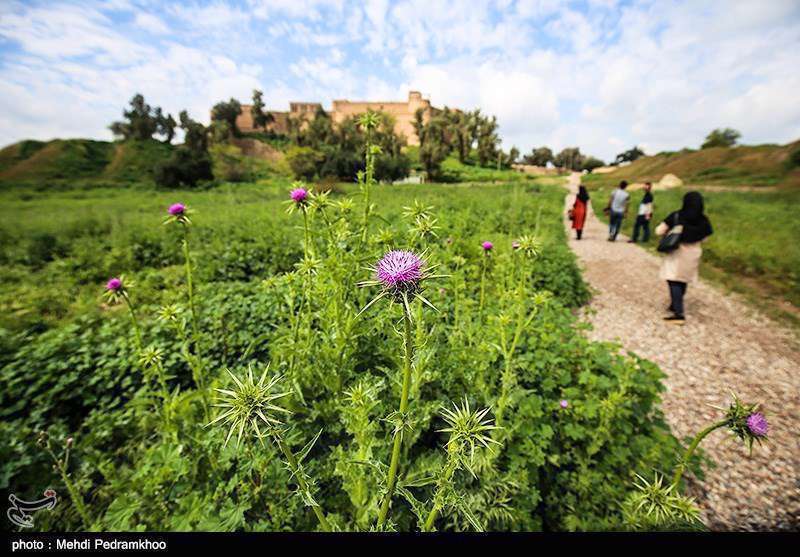 محوطه باستانی شوش 