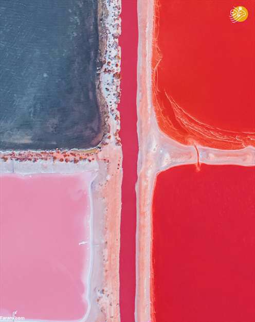 دریاچه صورتی رنگ! 