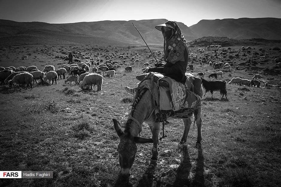 آوای کوچ 
