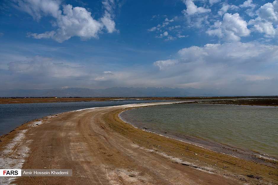  تالاب صالحیه البرز