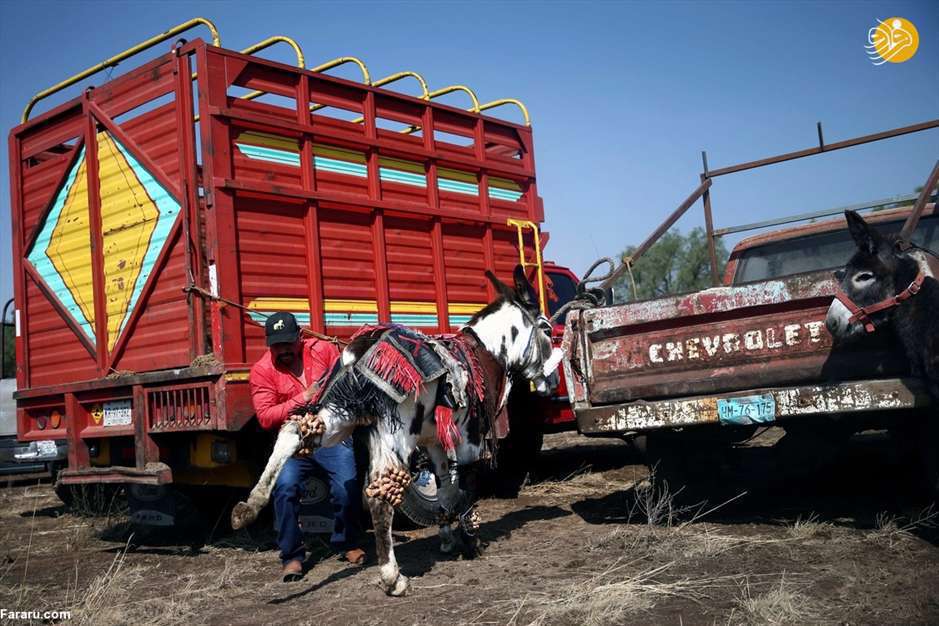 مراسم سنتی مکزیکی ها