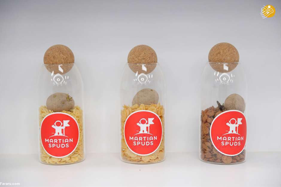 روی زمین در مریخ قدم بزنید