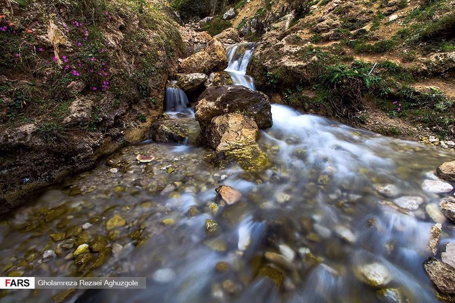 دِراسِـــله