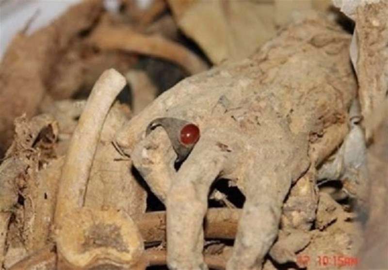 کشف پیکر مطهر ۱۲ شهید در روز نیمه شعبان کشف پیکر مطهر ۱۲ شهید در روز نیمه شعبان