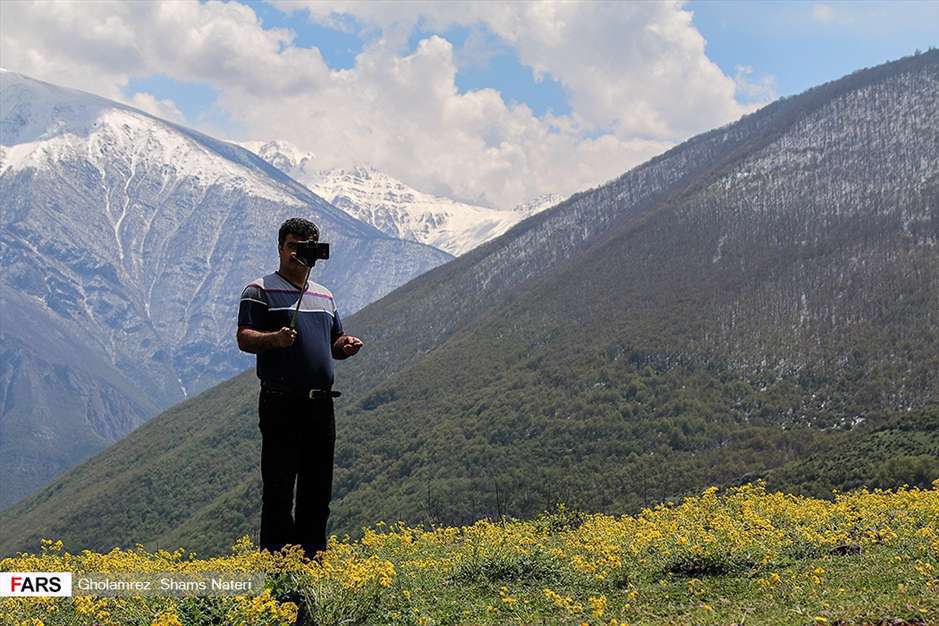 كوچ آرام بهار 