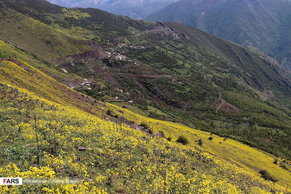 كوچ آرام بهار 