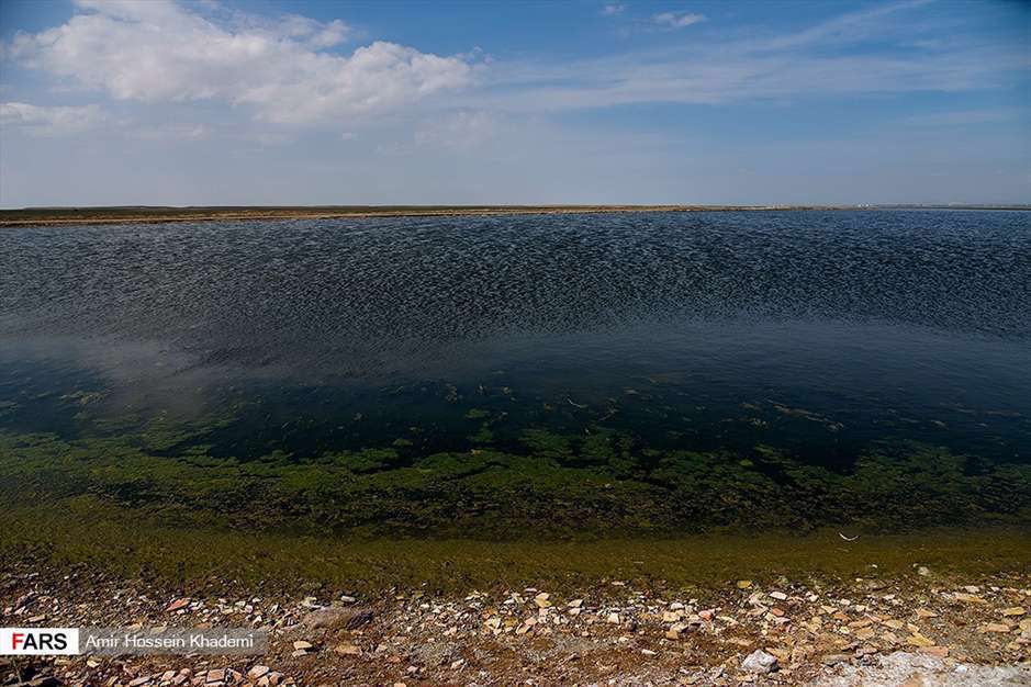  تالاب صالحیه البرز