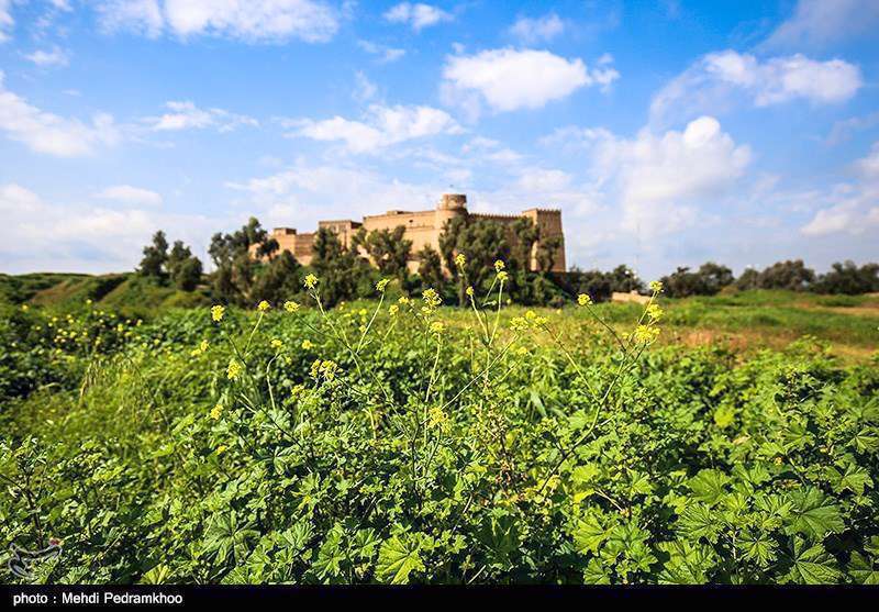 محوطه باستانی شوش 