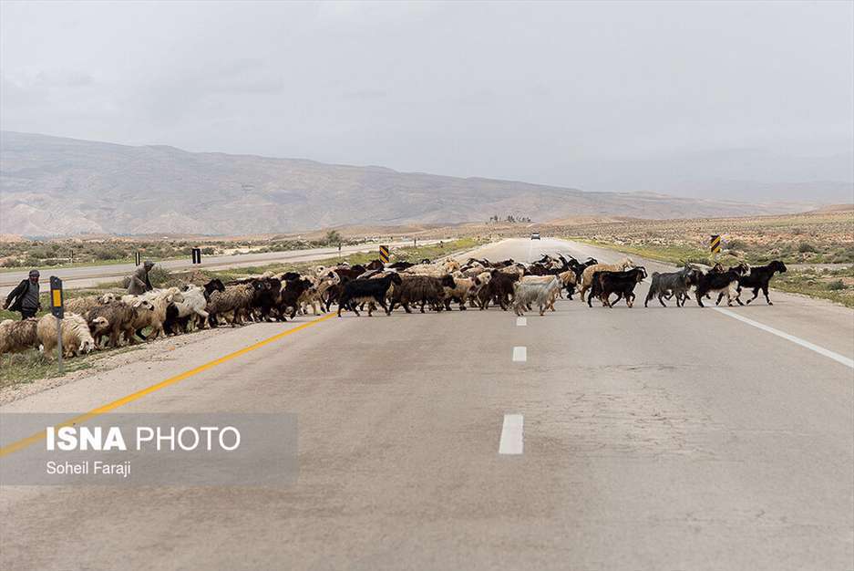 دو راهی زندگی عشایری