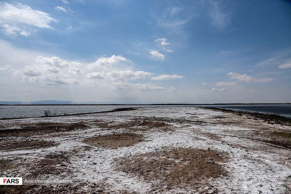  تالاب صالحیه البرز