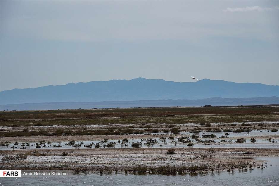  تالاب صالحیه البرز