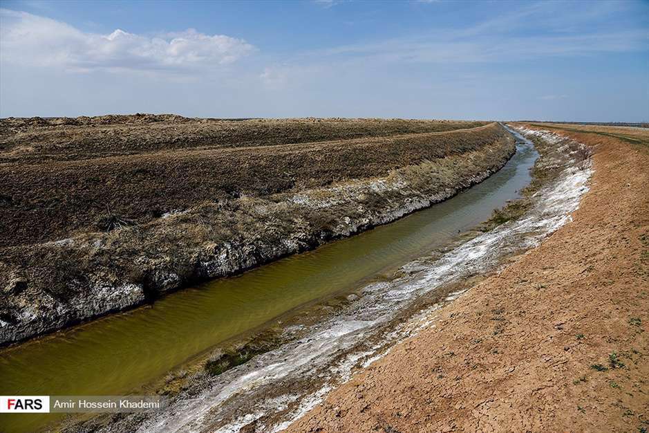  تالاب صالحیه البرز