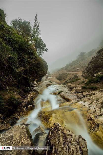 دِراسِـــله