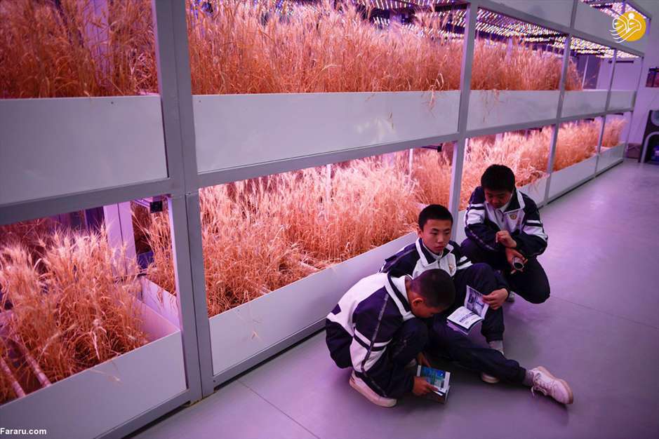 روی زمین در مریخ قدم بزنید