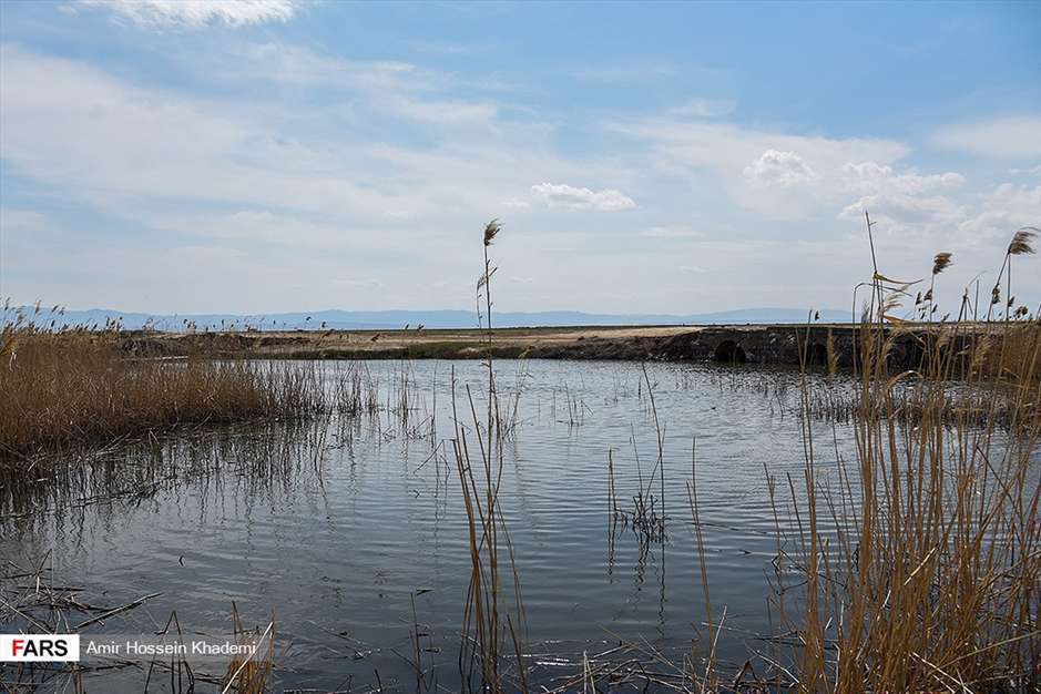  تالاب صالحیه البرز