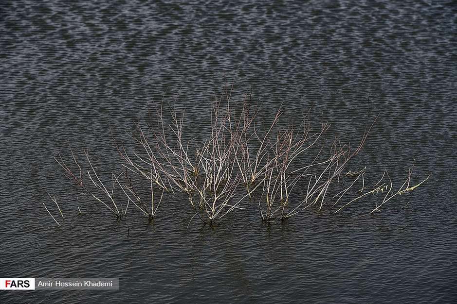  تالاب صالحیه البرز