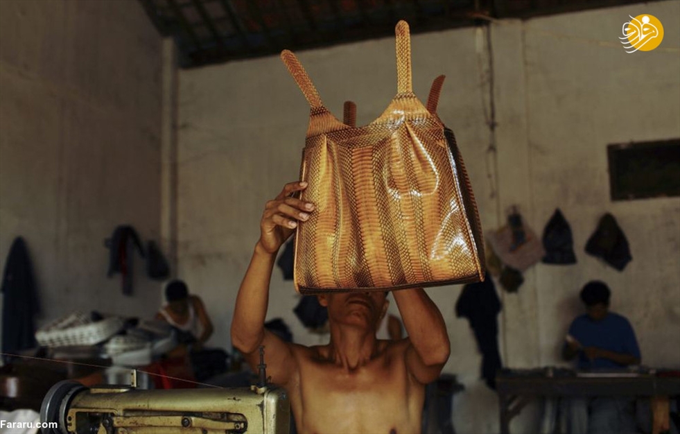 سلاخی مارها برای ساخت کیف و کفش! 
