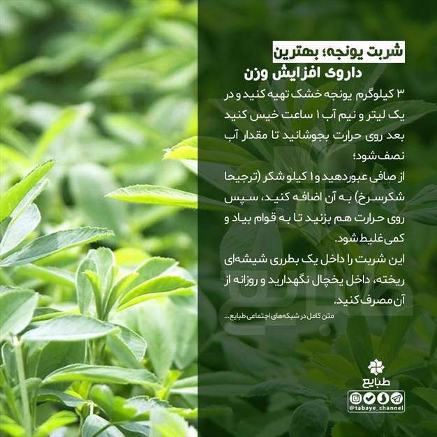 شربت یونجه، بهترین داروی افزایش وزن