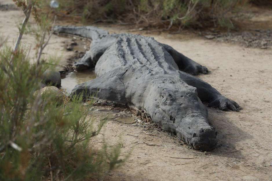 مجسمه‌های نمکی