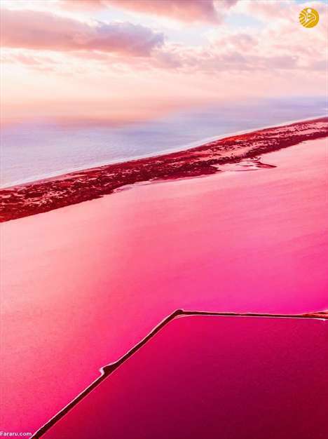 دریاچه صورتی رنگ! 