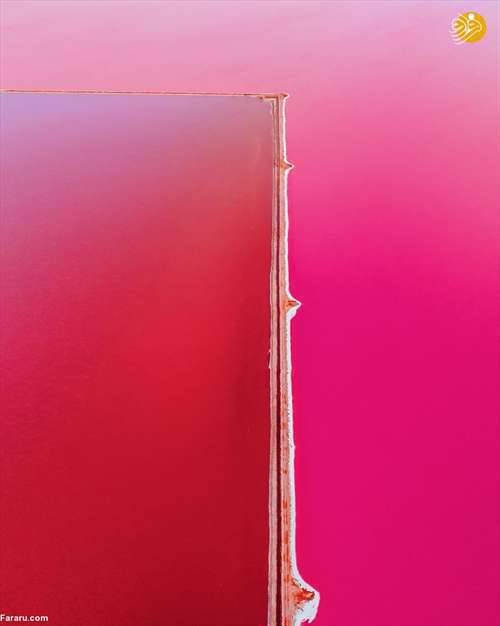 دریاچه صورتی رنگ! 