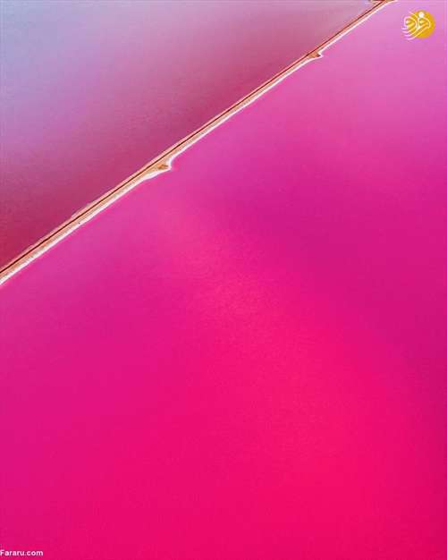 دریاچه صورتی رنگ! 