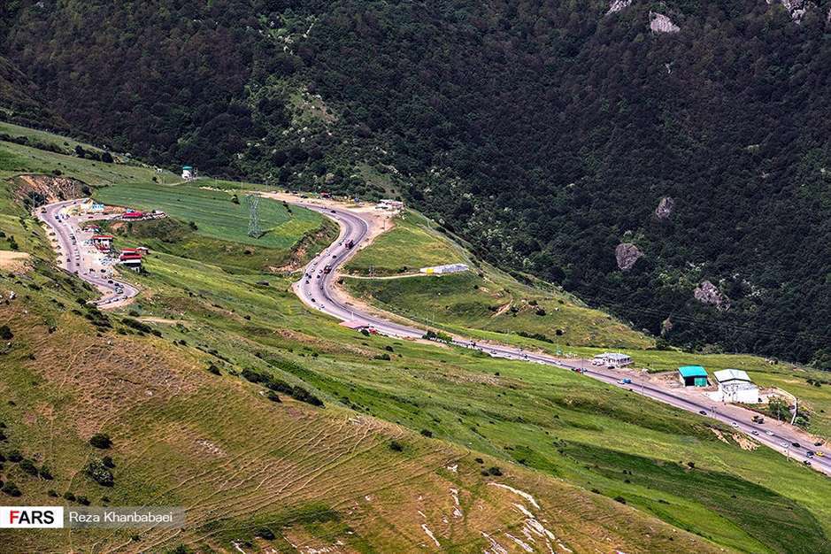 دشت « گل‌های بابونه» اردبیل 