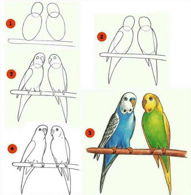 نقاشی طوطی