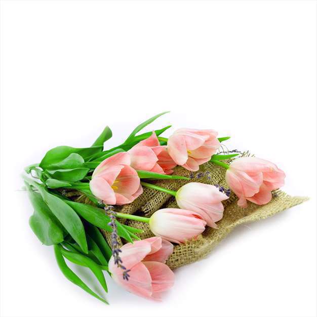 گل های لاله