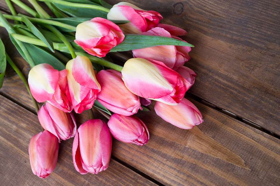 گل های لاله