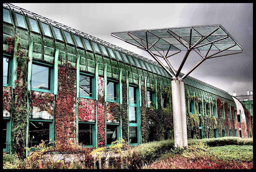 برترین کتابخانه های جهان(2)